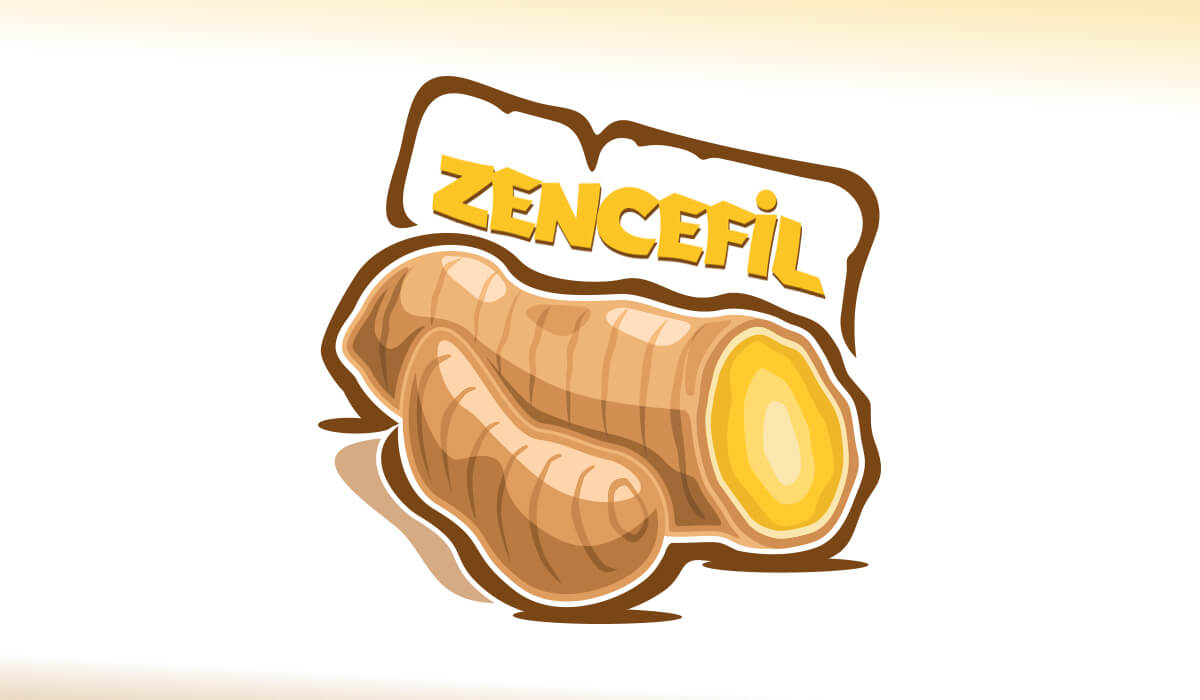 ZENCEFİL HANGİ YEMEKLERDE KULLANILIR ZENCEFİL HANGİ YEMEKLERDE KULLANILIR