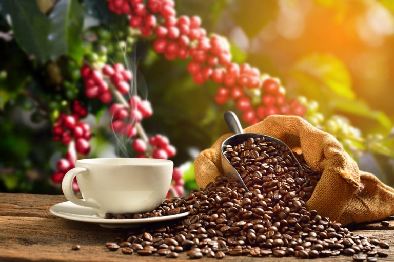 Hangisi Daha Az Yağ İçerir Kahve mi? Çay mı? En İyi Vitamin
