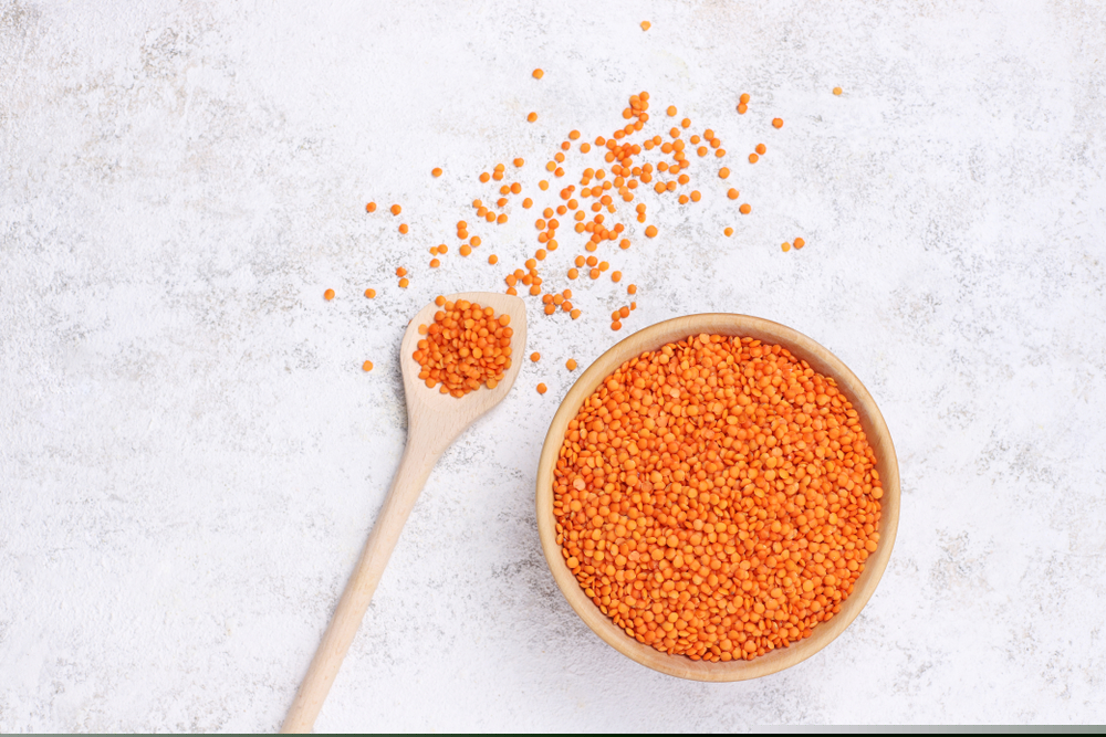 Bitkisel Protein